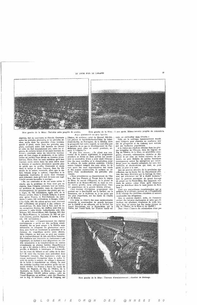 LIVRE D OR DE L ORANIE_000014.jpg